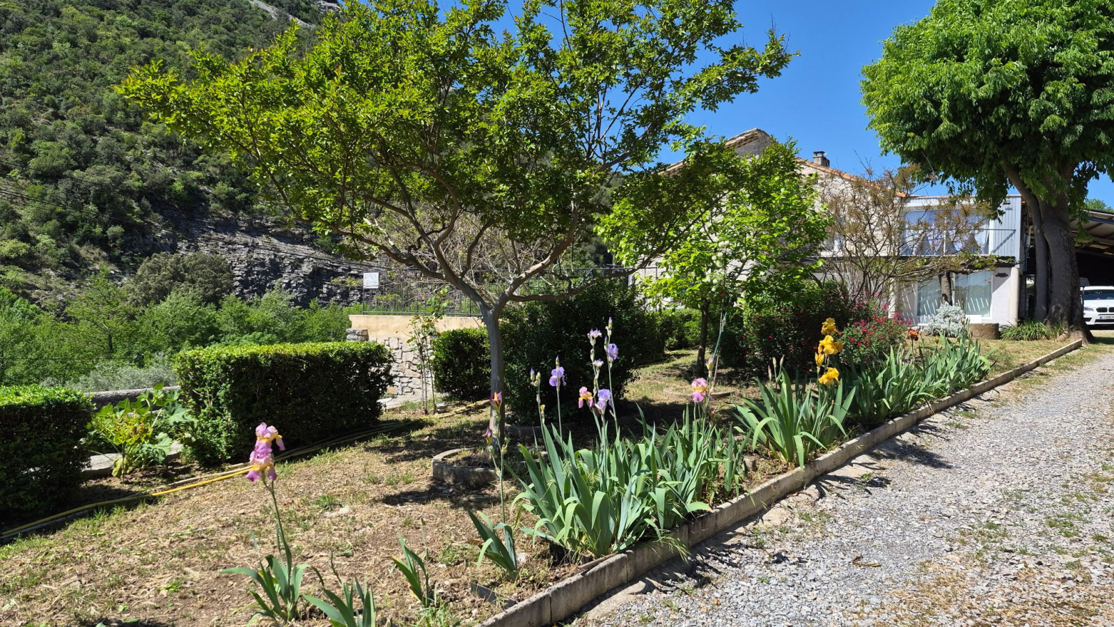 Image_, Propriete, Saint-Hippolyte-du-Fort, ref :4577