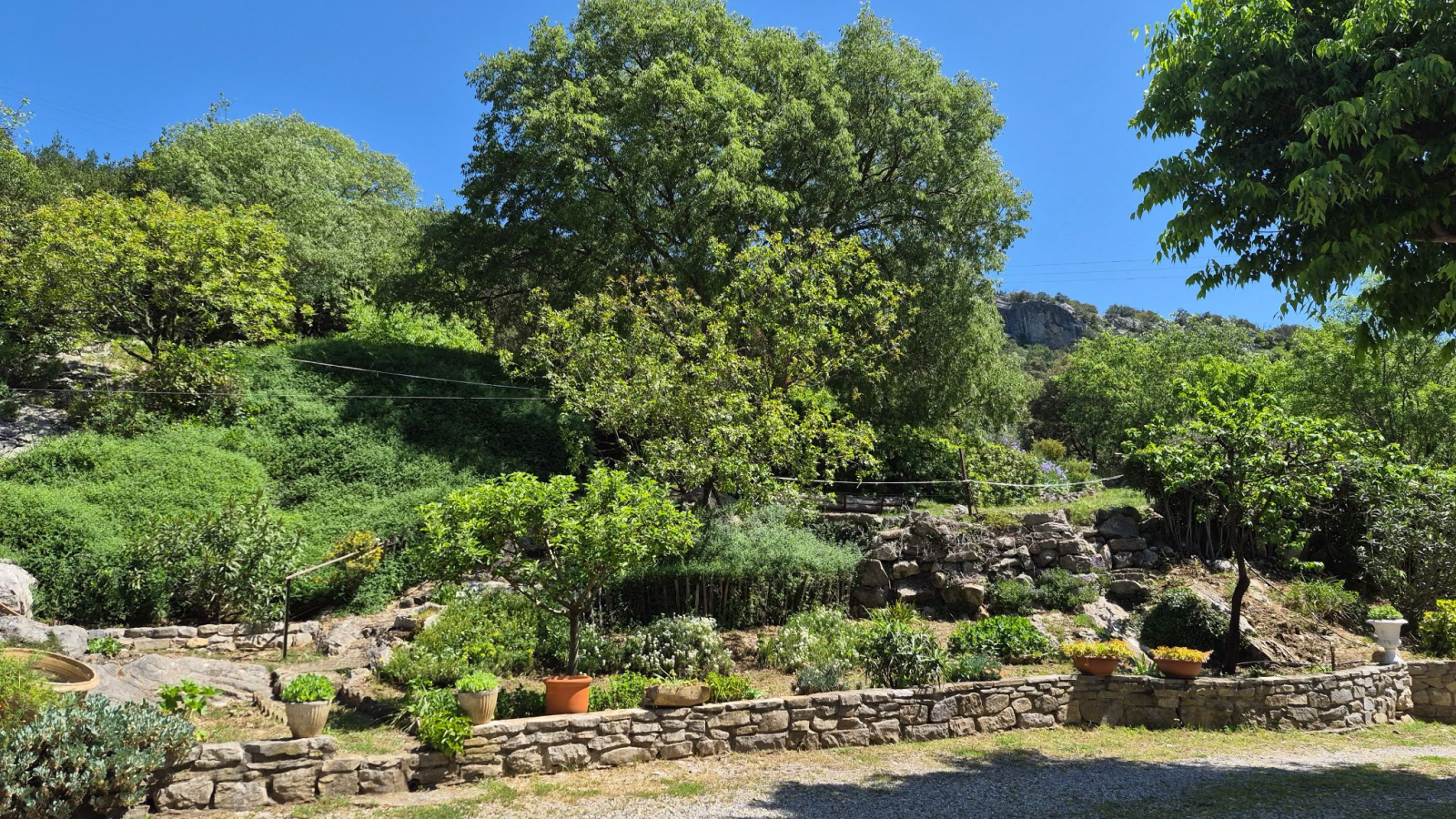 Image_, Propriete, Saint-Hippolyte-du-Fort, ref :4577