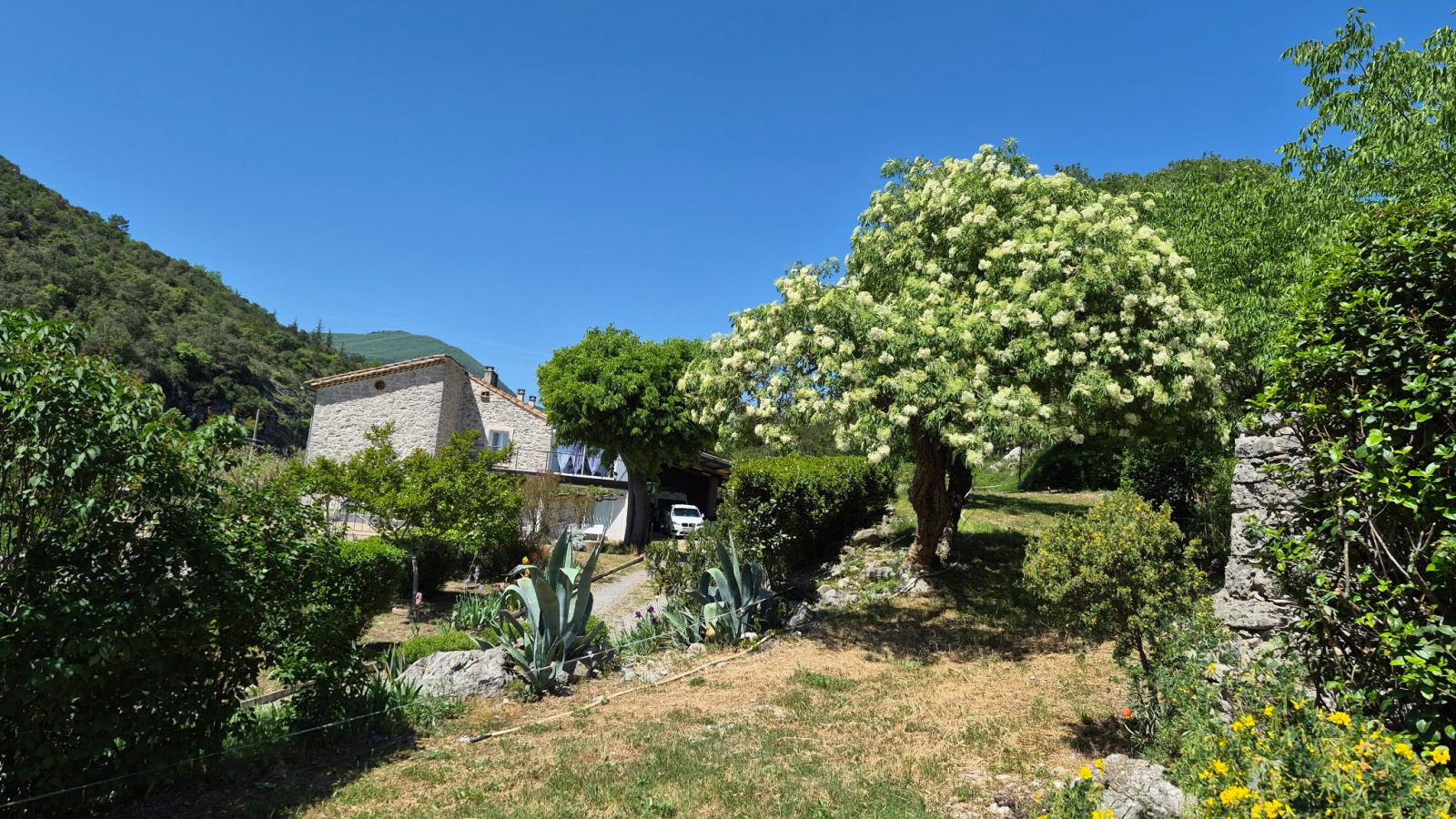Image_, Propriete, Saint-Hippolyte-du-Fort, ref :4577