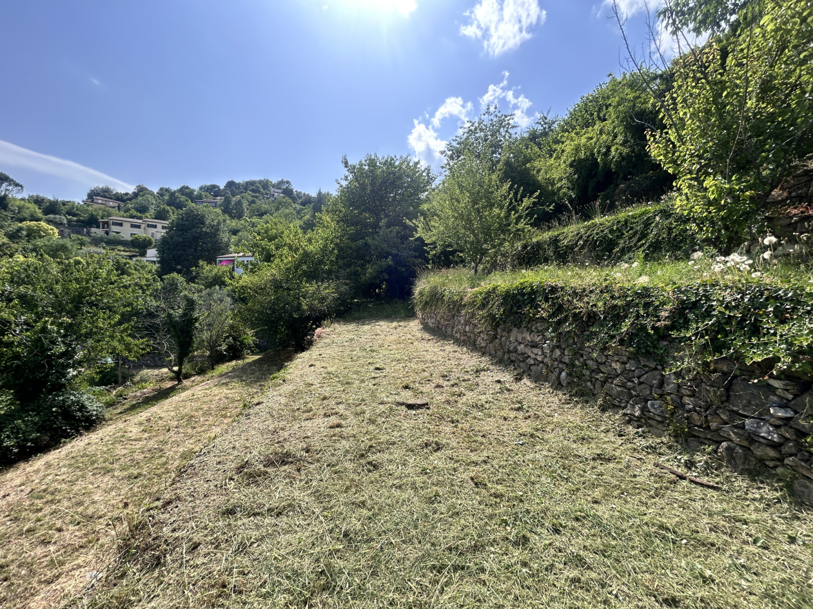 Image_, Terrain, Le Vigan, ref :921