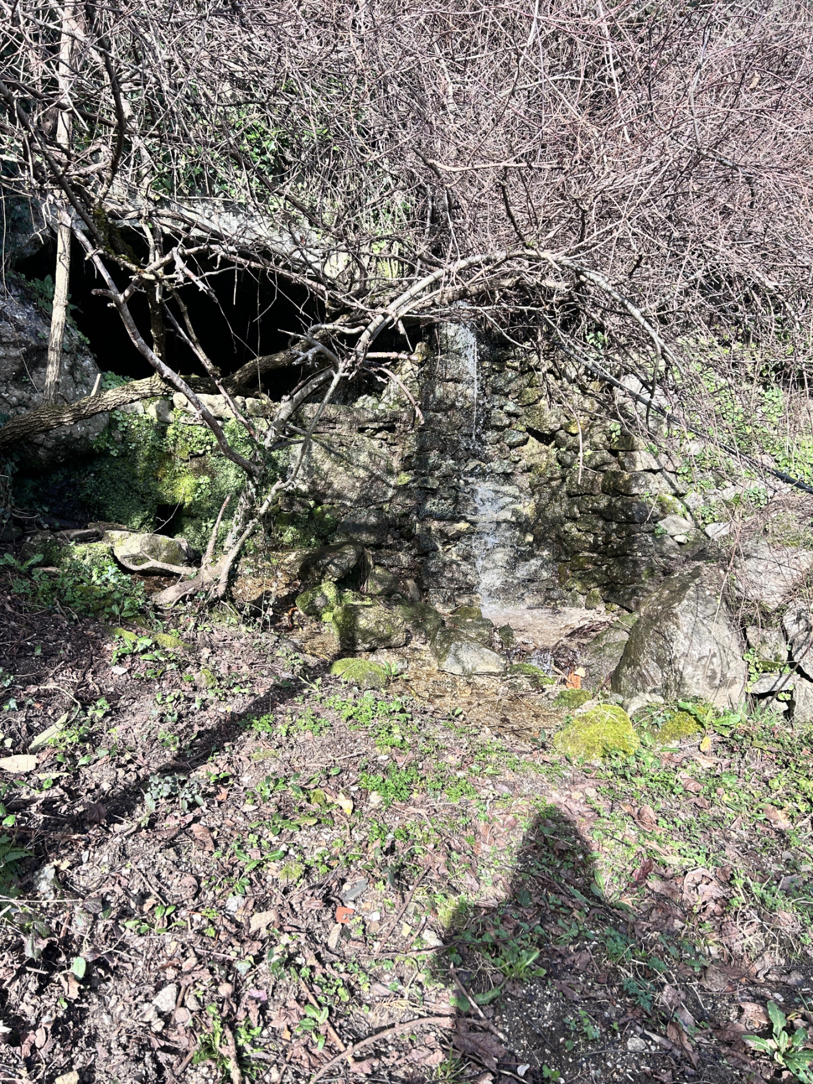 Image_, Terrain, Mandagout, ref :920