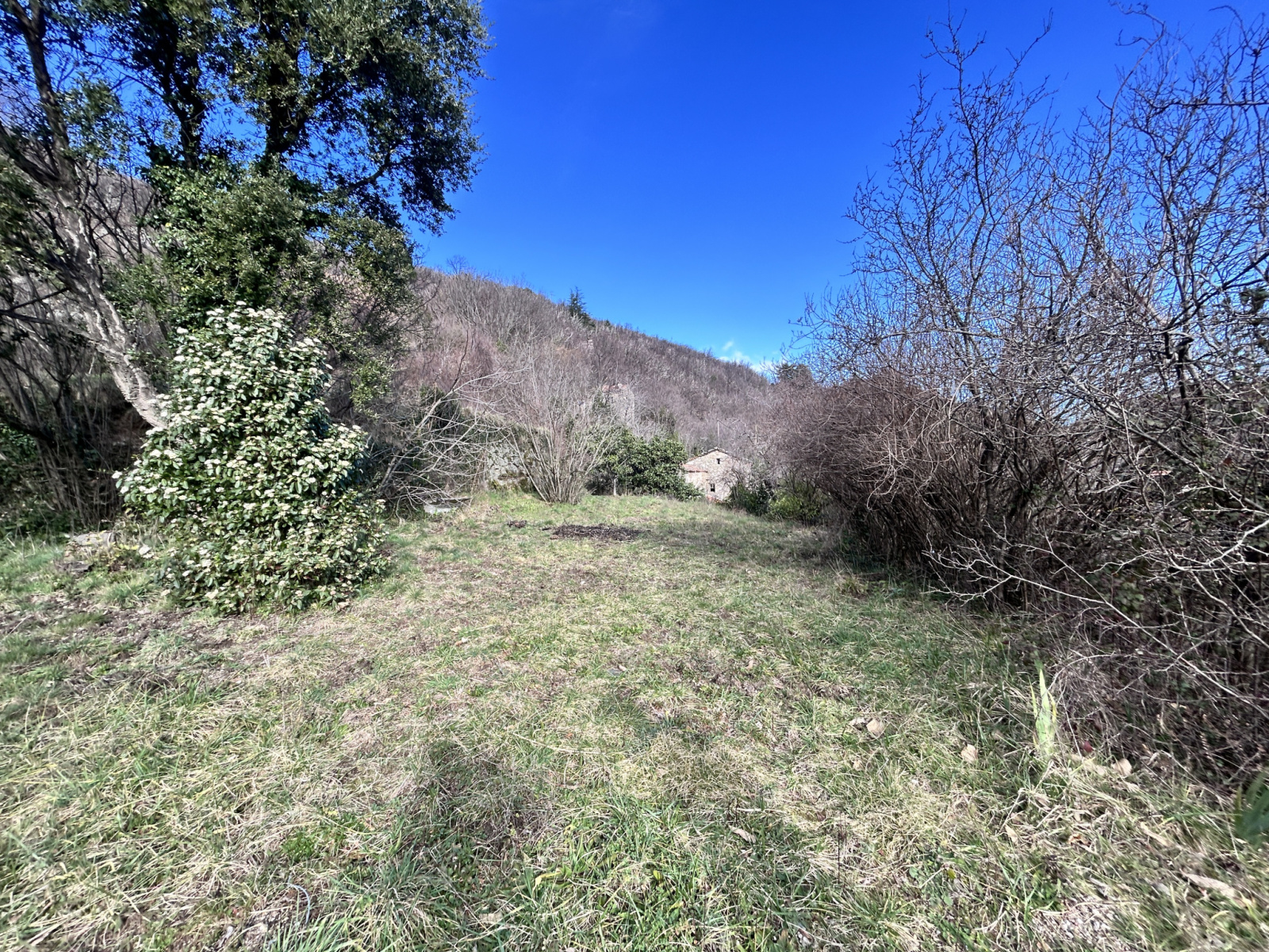 Image_, Terrain, Mandagout, ref :920