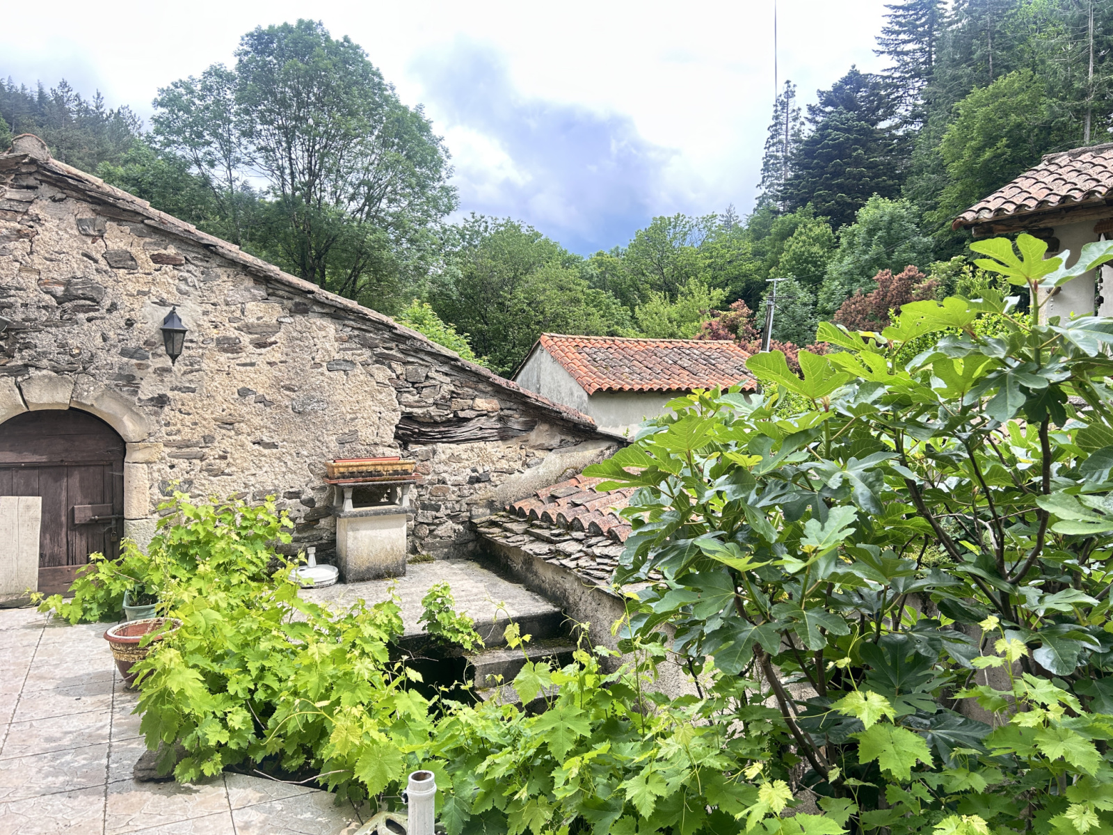 Image_, Maison, Alzon, ref :2759