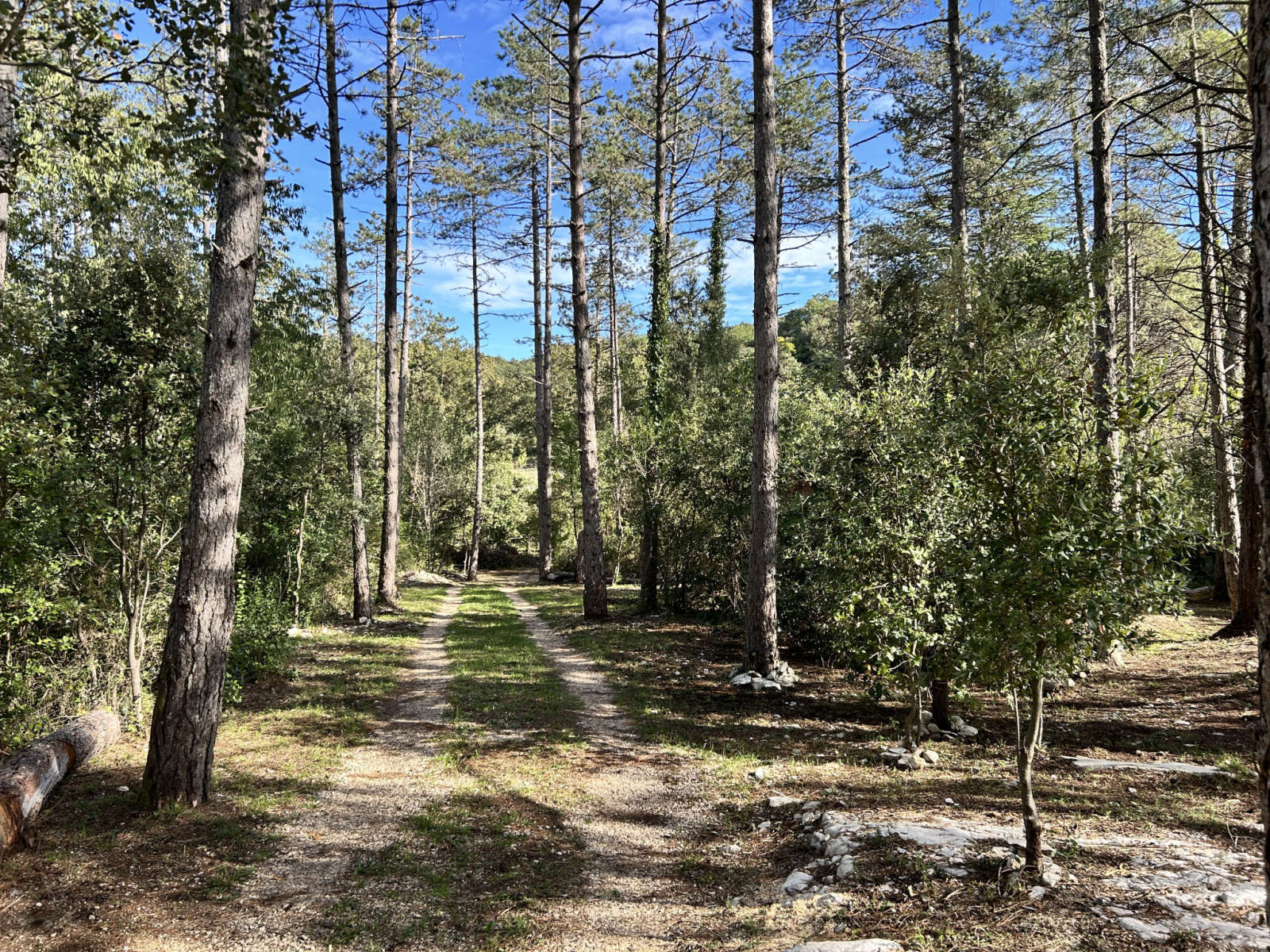 Image_, Terrain de loisir, Cazilhac, ref :MD-4663