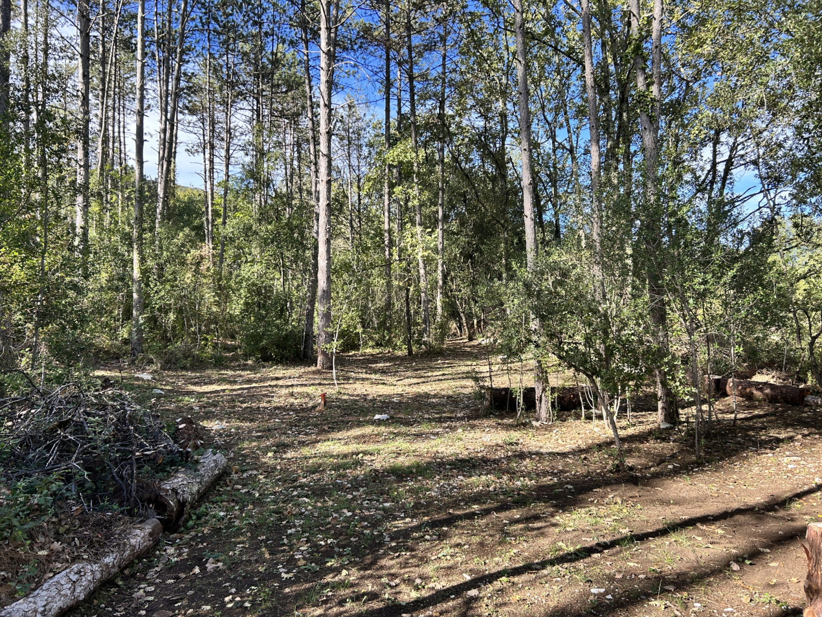 Image_, Terrain de loisir, Cazilhac, ref :MD-4663