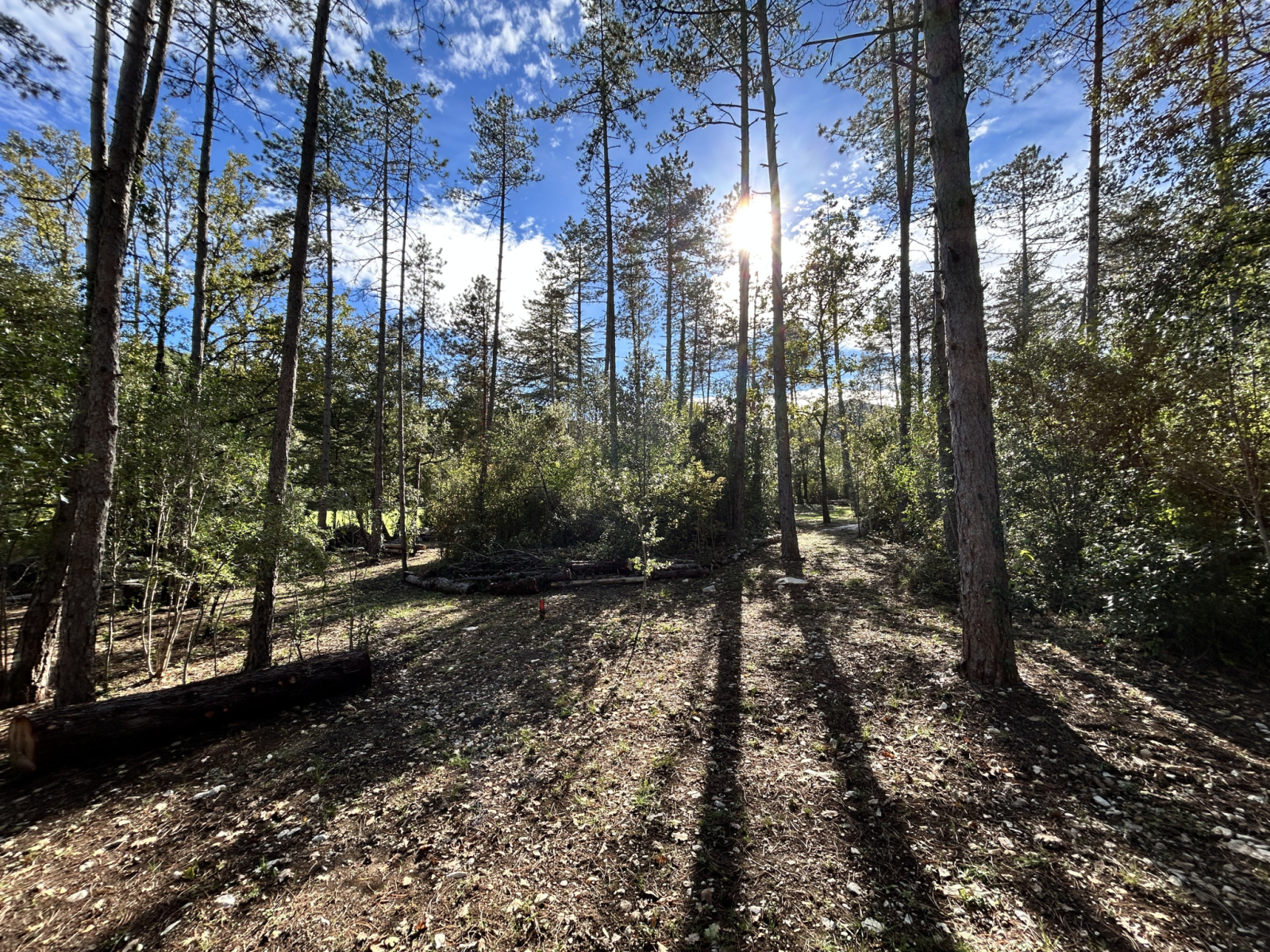 Image_, Terrain de loisir, Cazilhac, ref :MD-4663