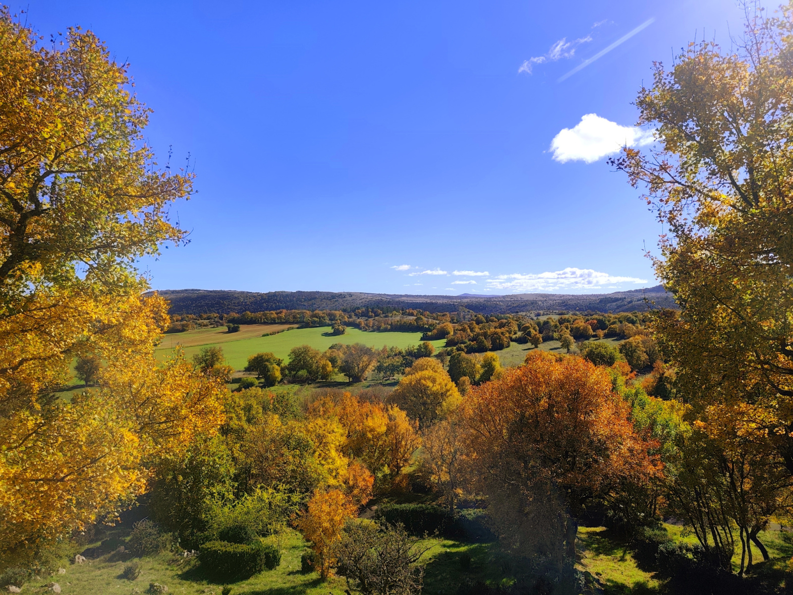 Image_, Maison, Sorbs, ref :LC 3234