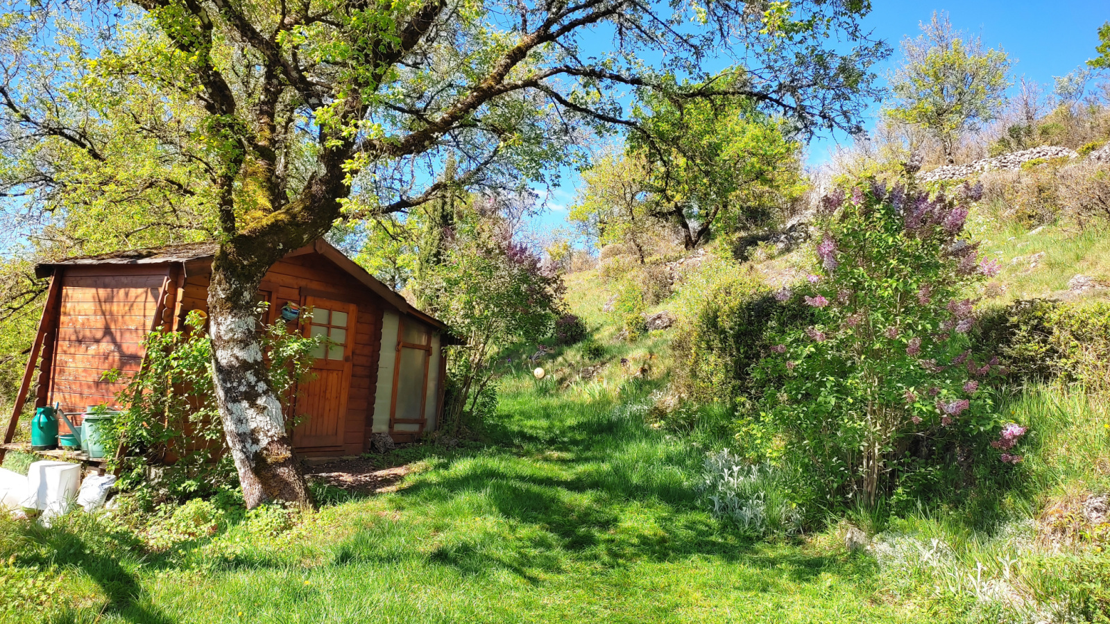 Image_, Maison, Sorbs, ref :LC 3234