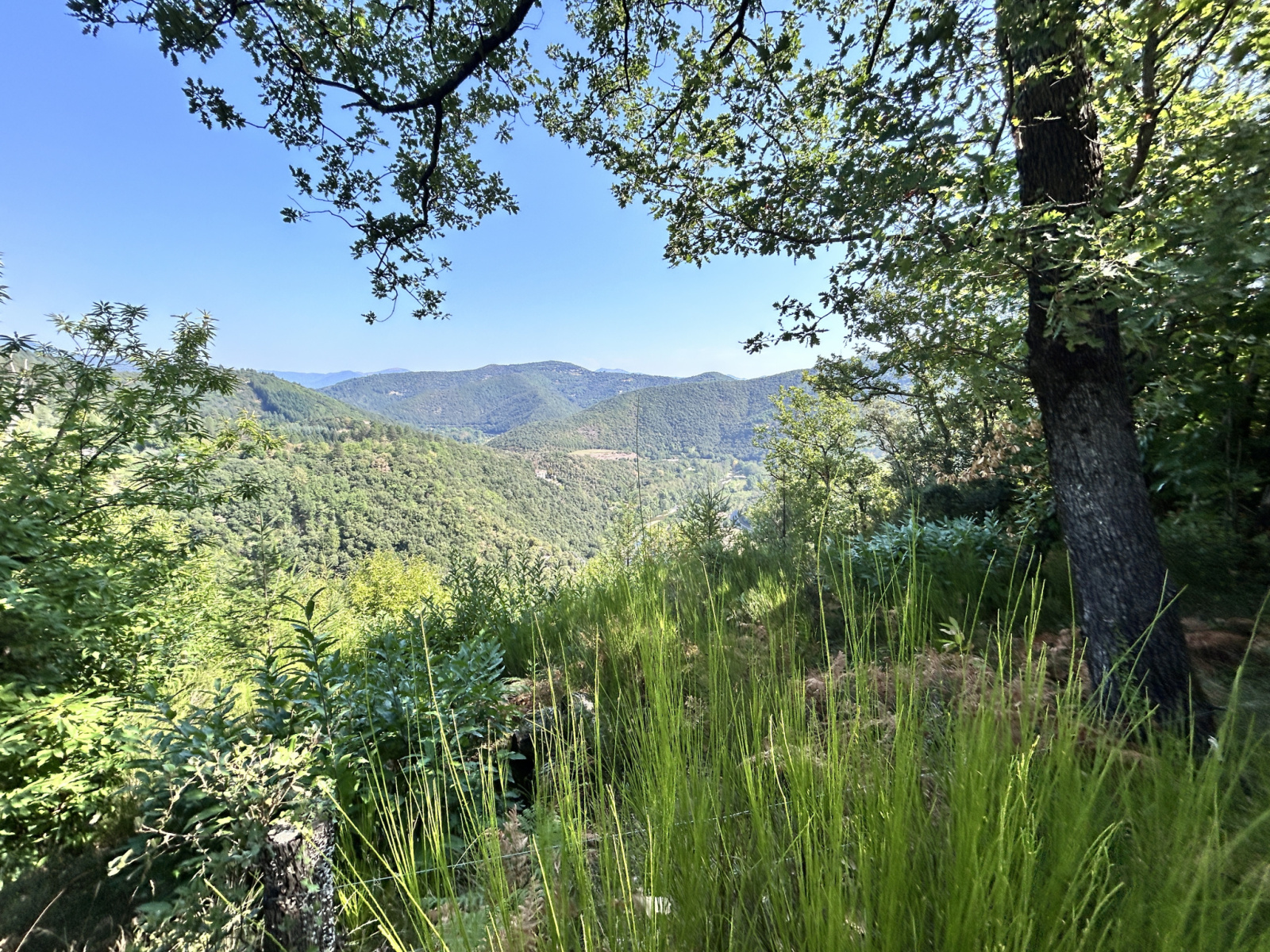 Image_, Maison, Roquedur, ref :2775