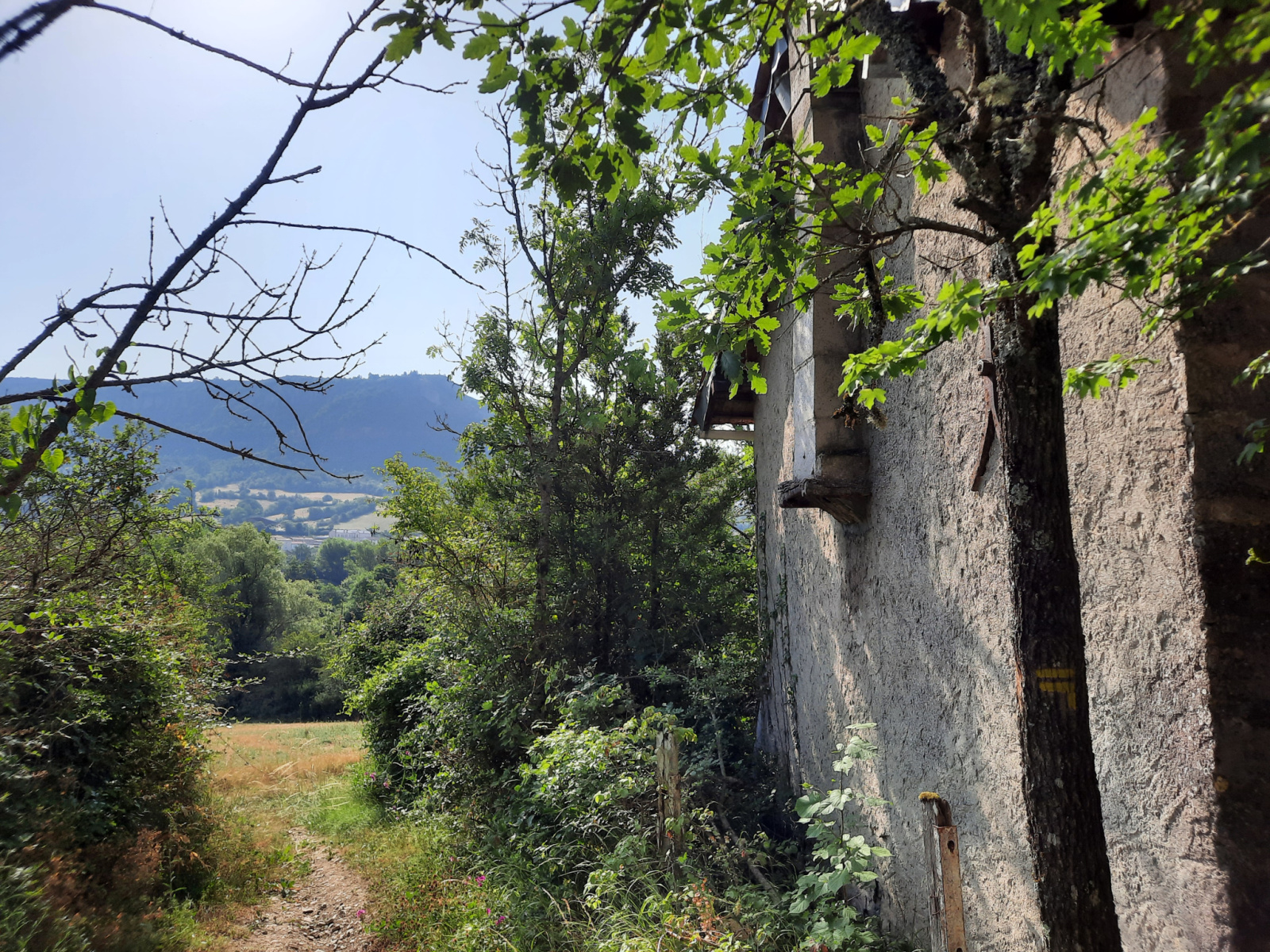 Image_, Terrain, Tournemire, ref :LC 3217
