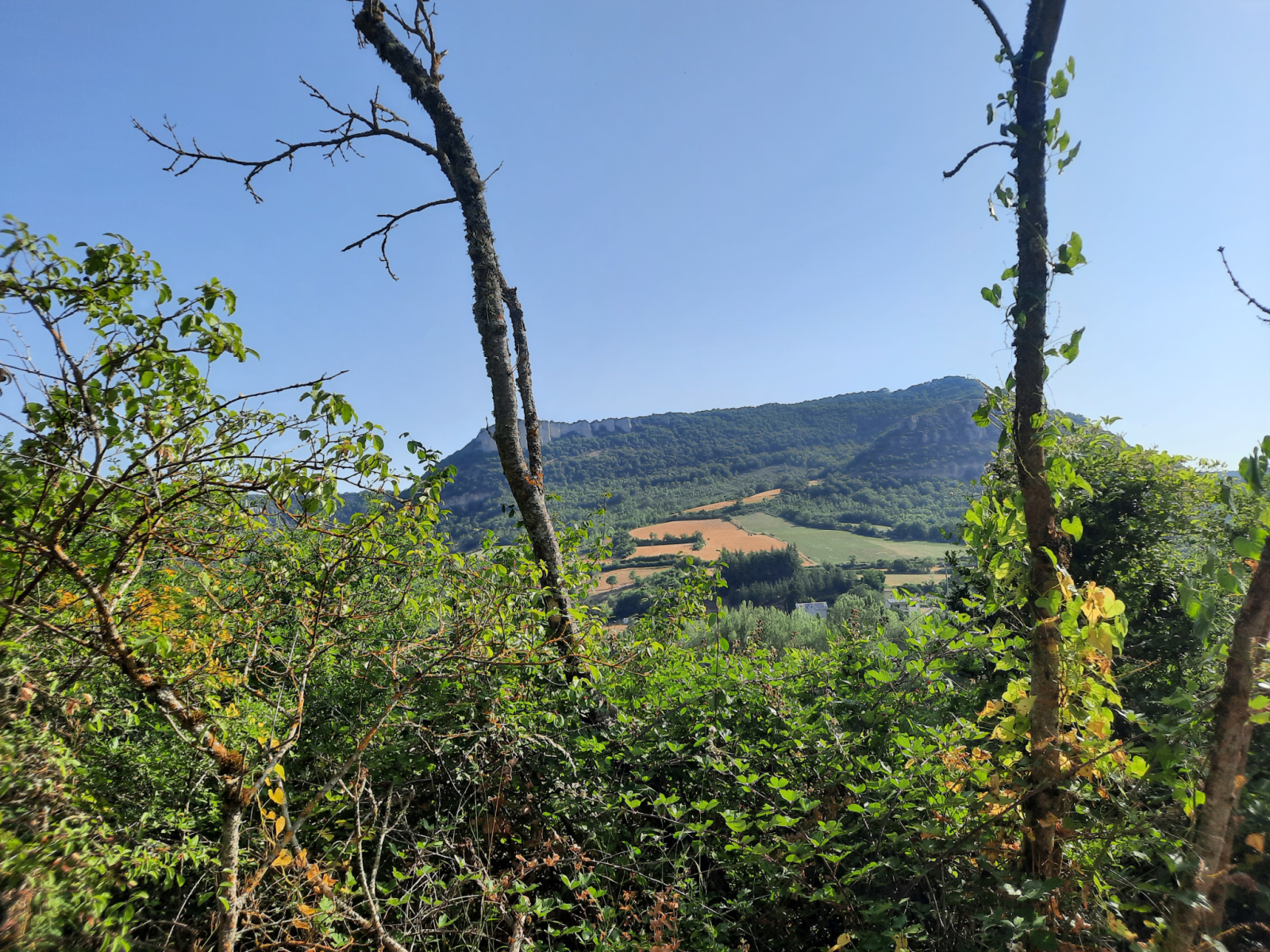 Image_, Terrain, Tournemire, ref :LC 3217