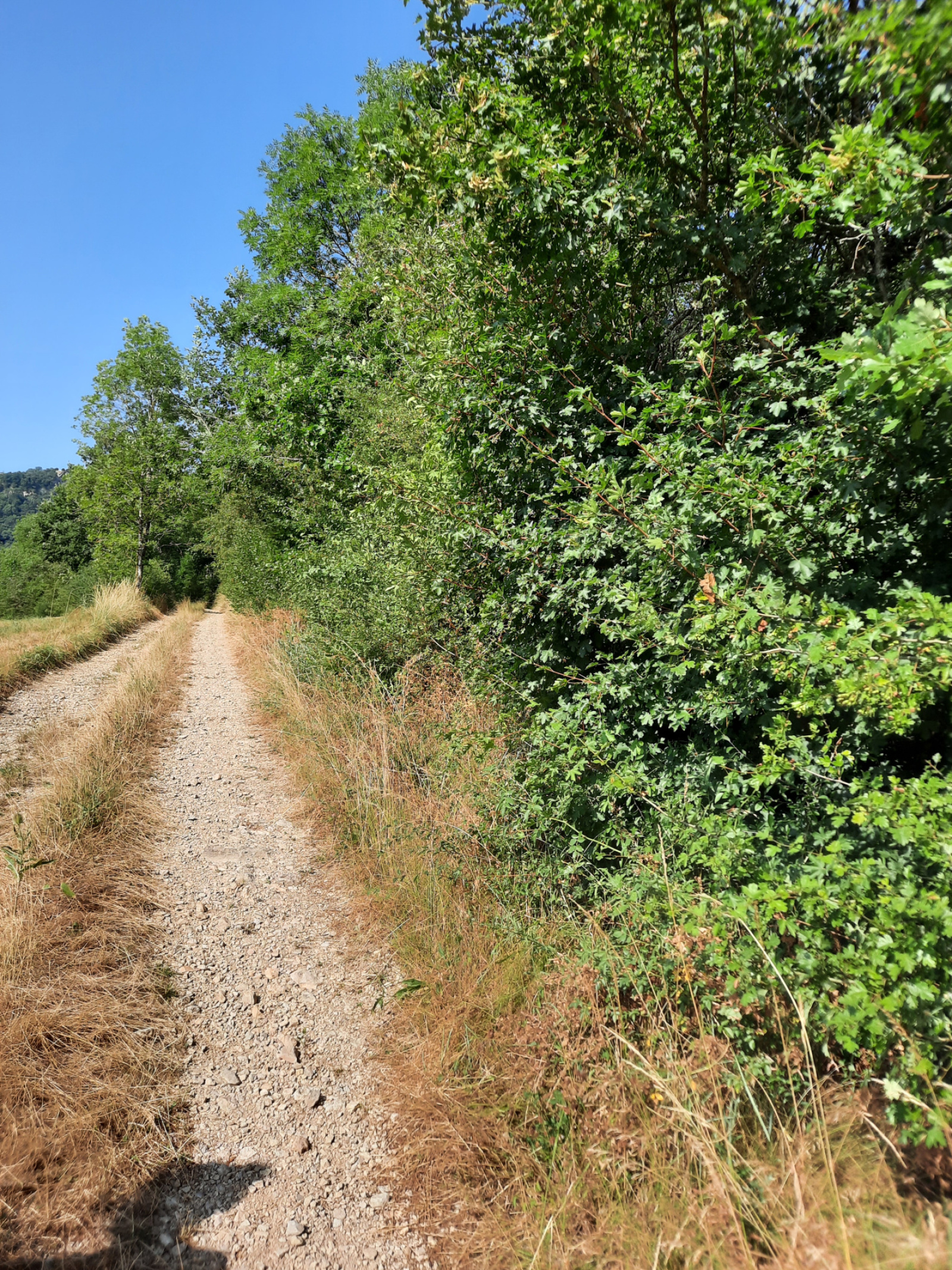Image_, Terrain, Tournemire, ref :LC 3217