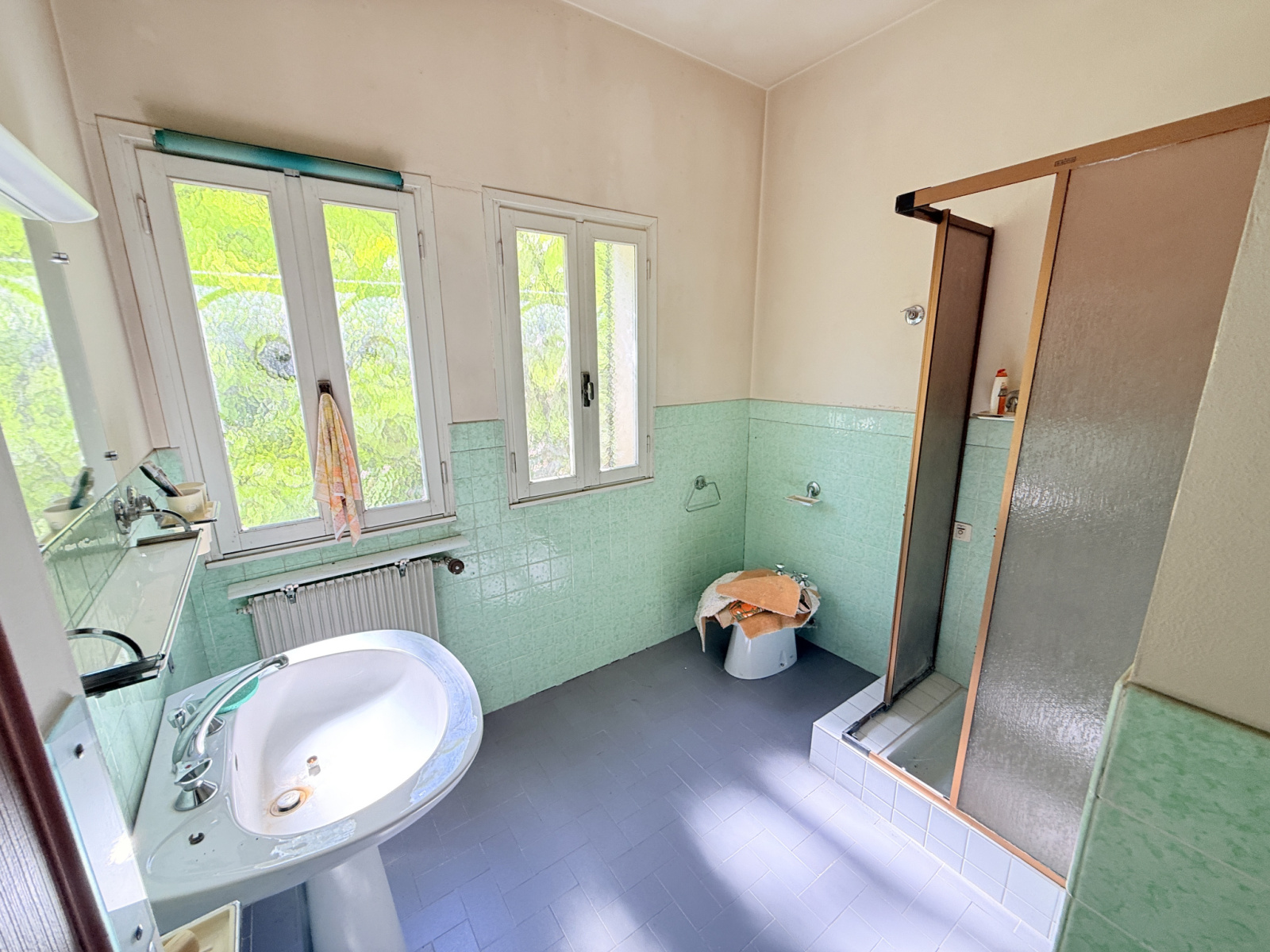 Image_, Villa, Molières-Cavaillac, ref :2813