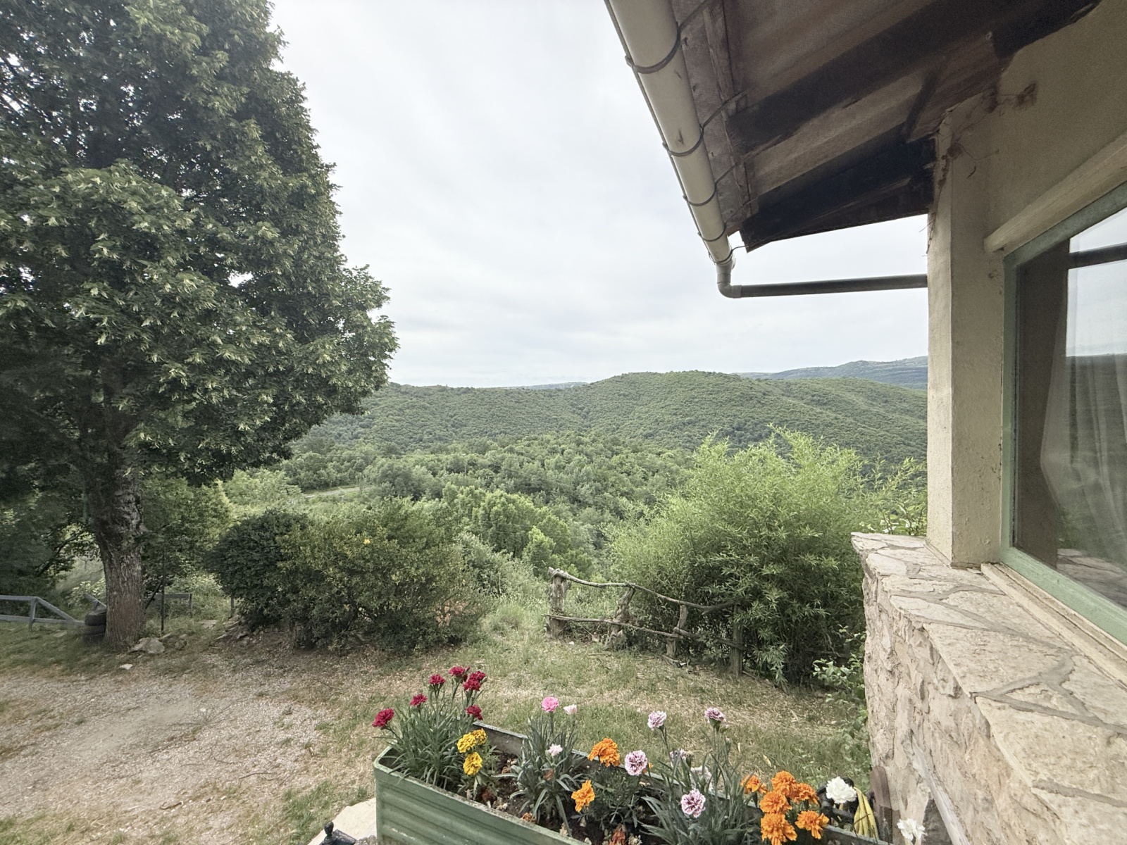 Image_, Maison, Aumessas, ref :2799