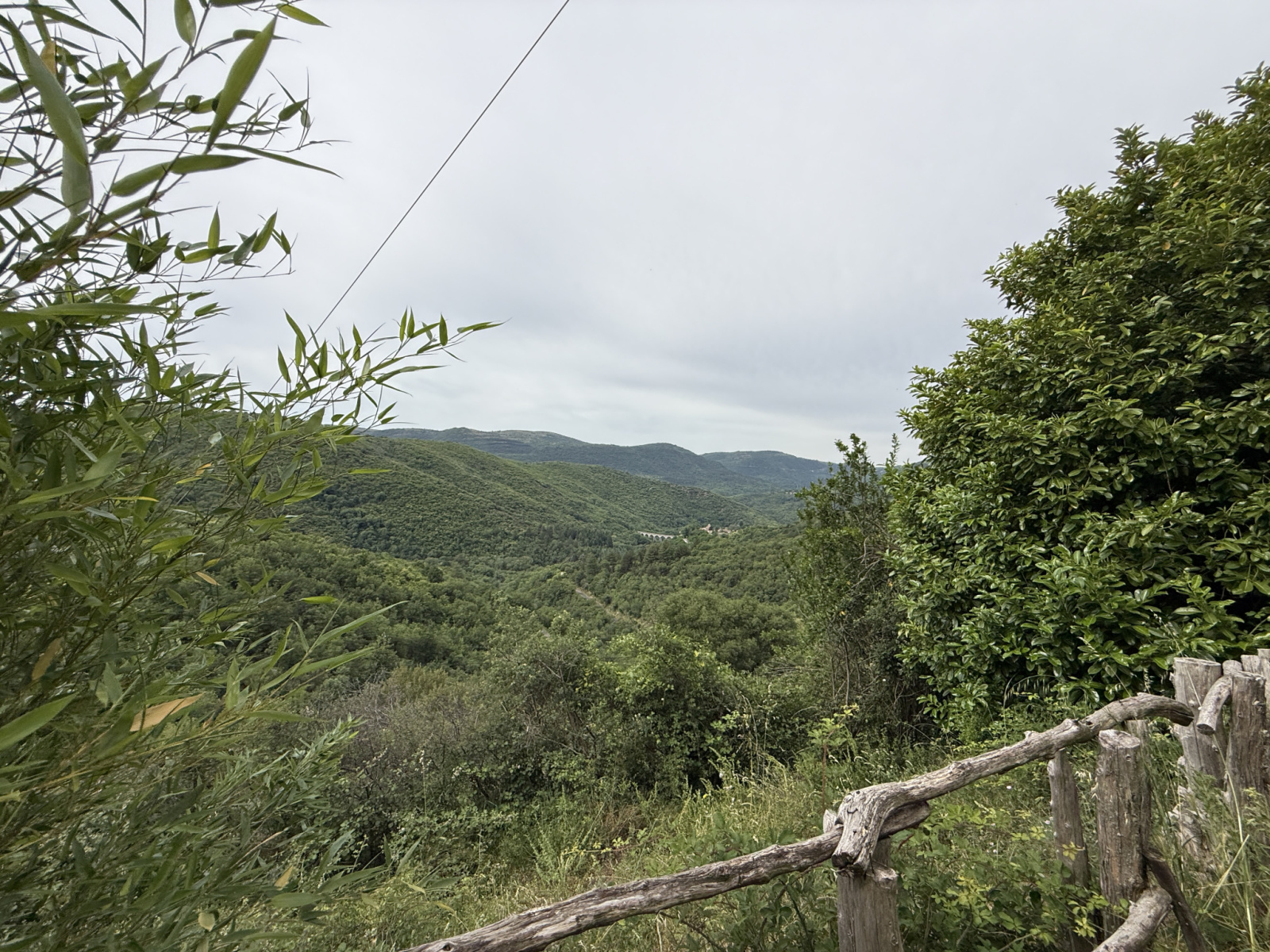 Image_, Maison, Aumessas, ref :2799