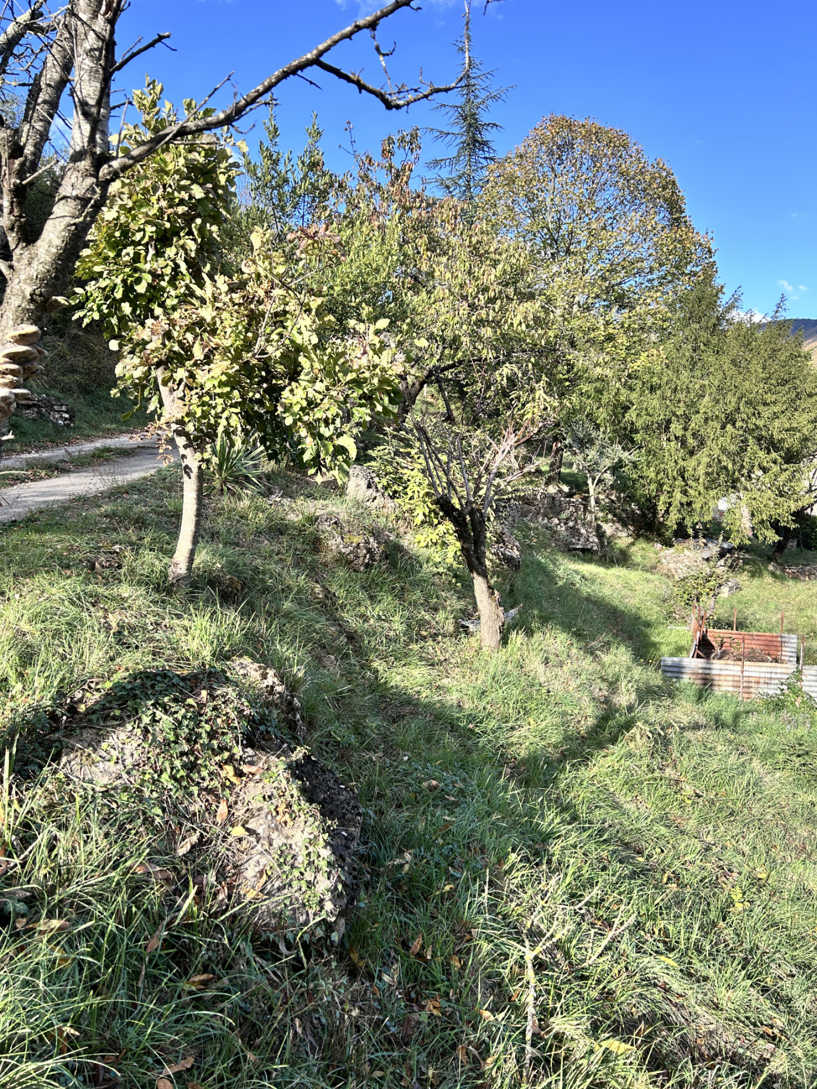 Image_, Maison, Bez-et-Esparon, ref :2776