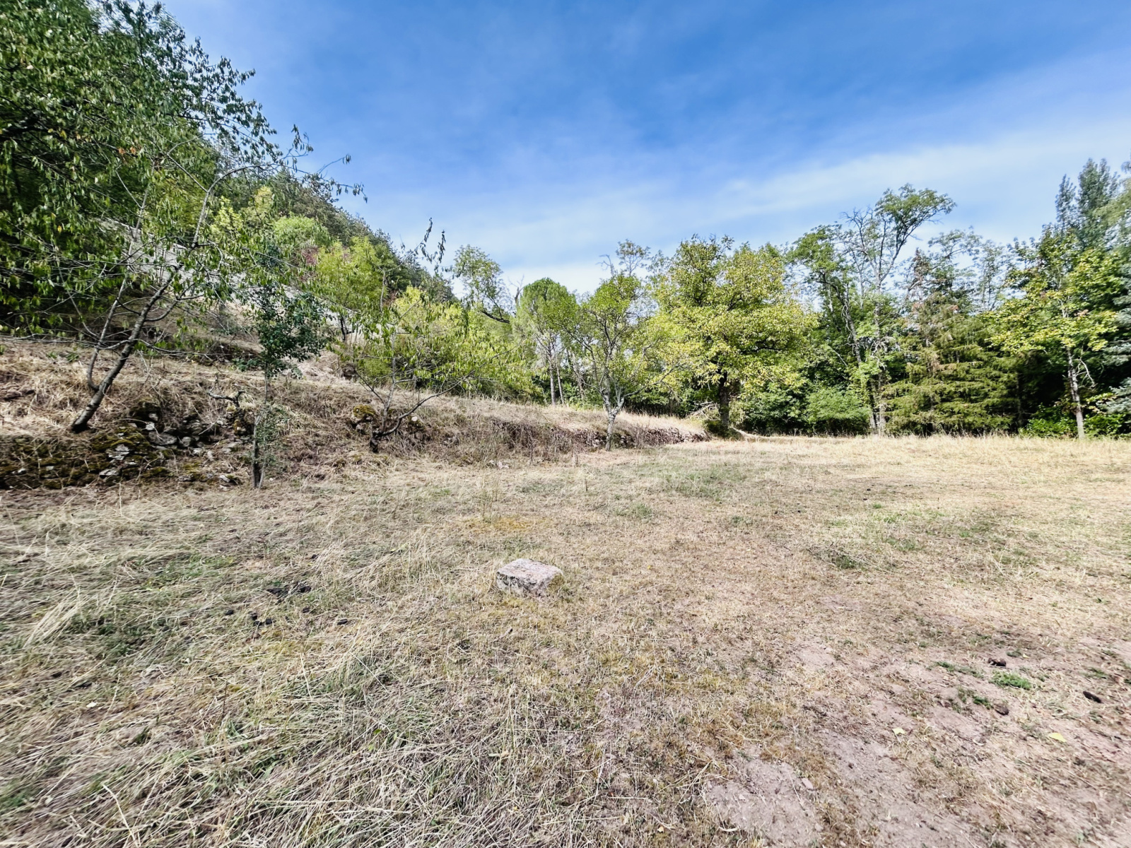 Image_, Terrain, Alzon, ref :925