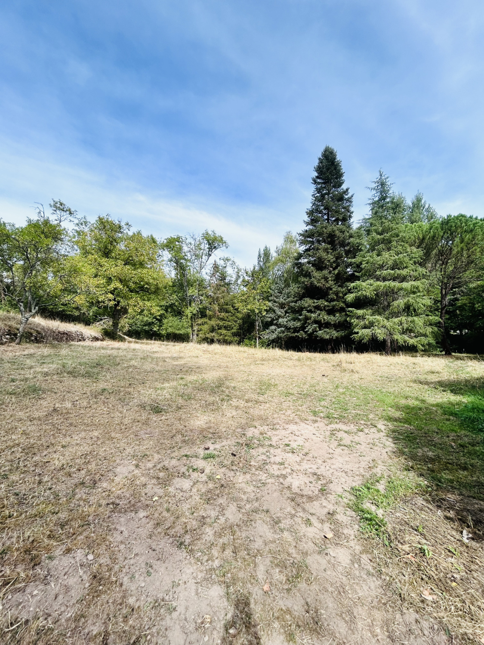 Image_, Terrain, Alzon, ref :925