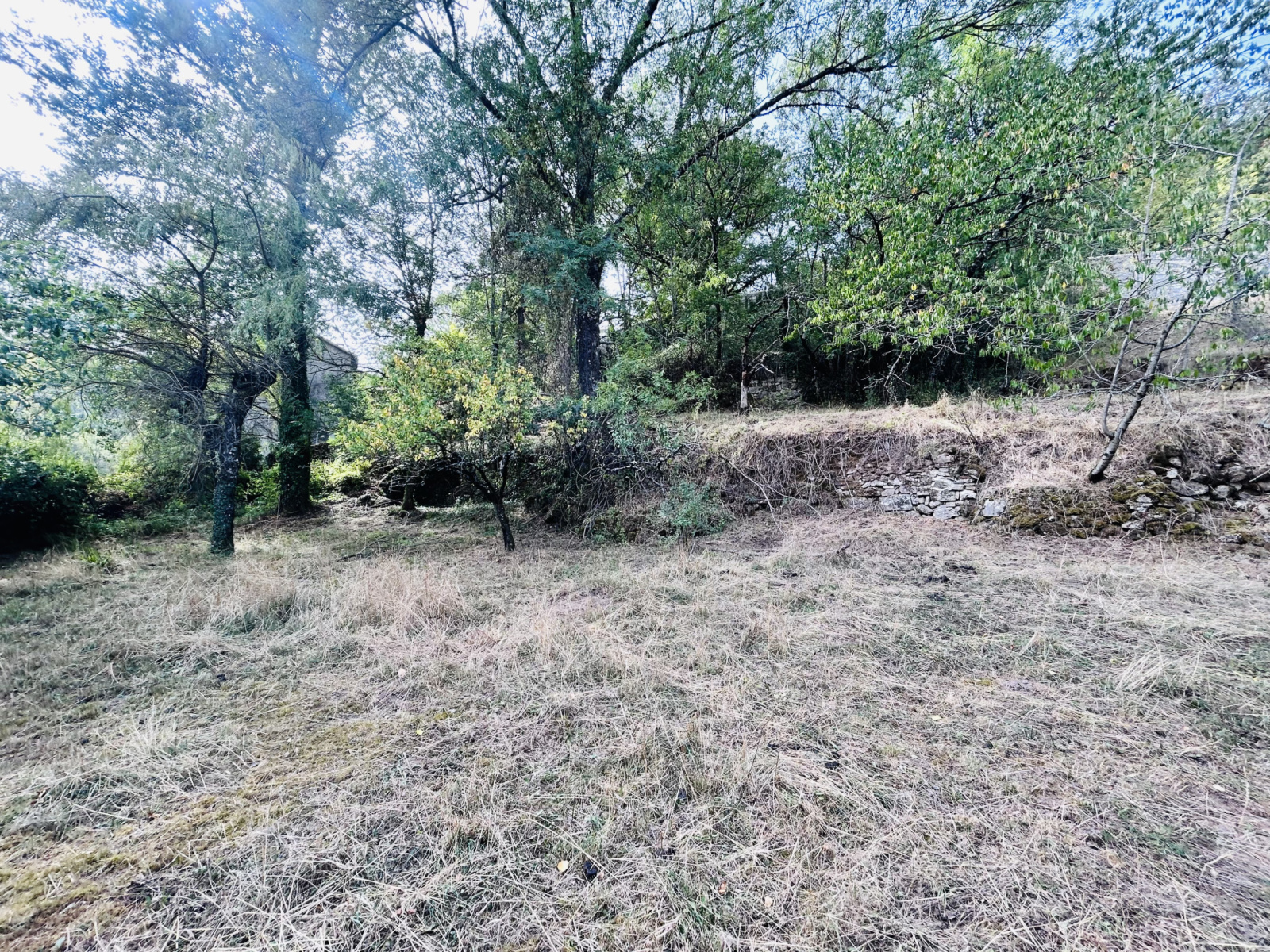Image_, Terrain, Alzon, ref :925