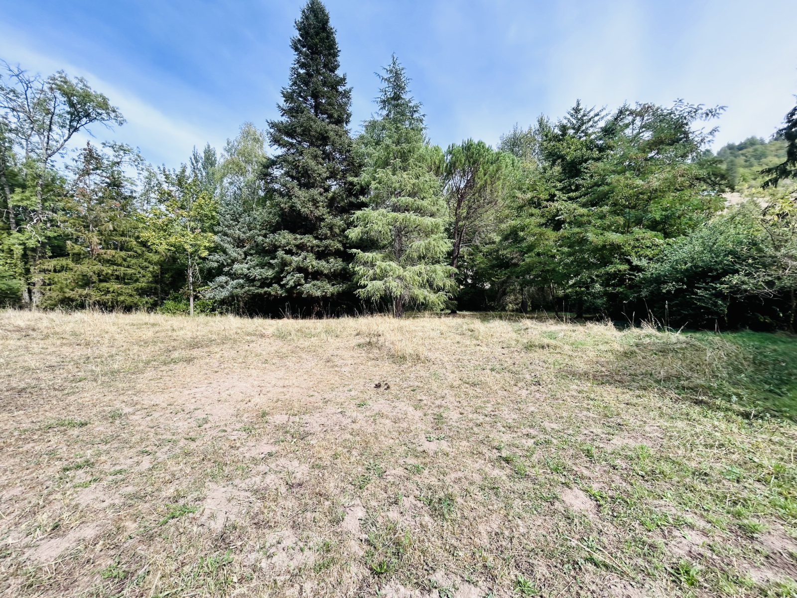 Image_, Terrain, Alzon, ref :925