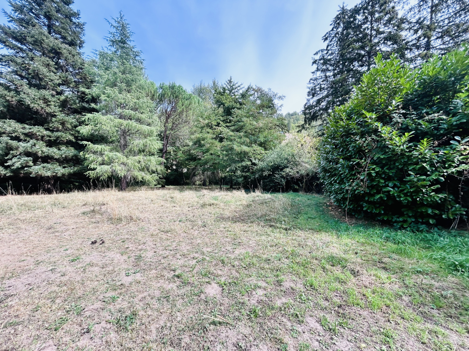Image_, Terrain, Alzon, ref :925