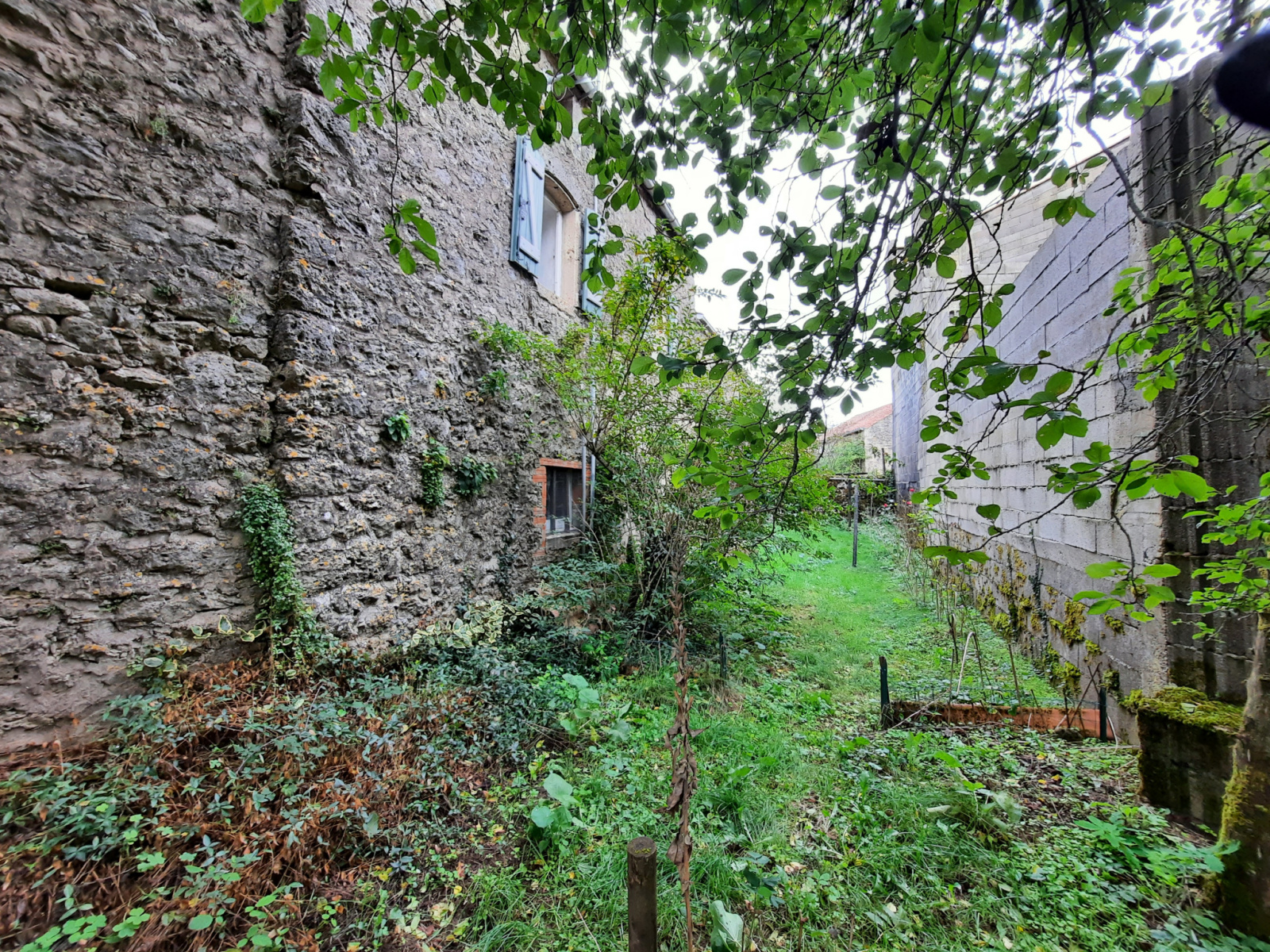 Image_, Maison, Cornus, ref :LC 2052