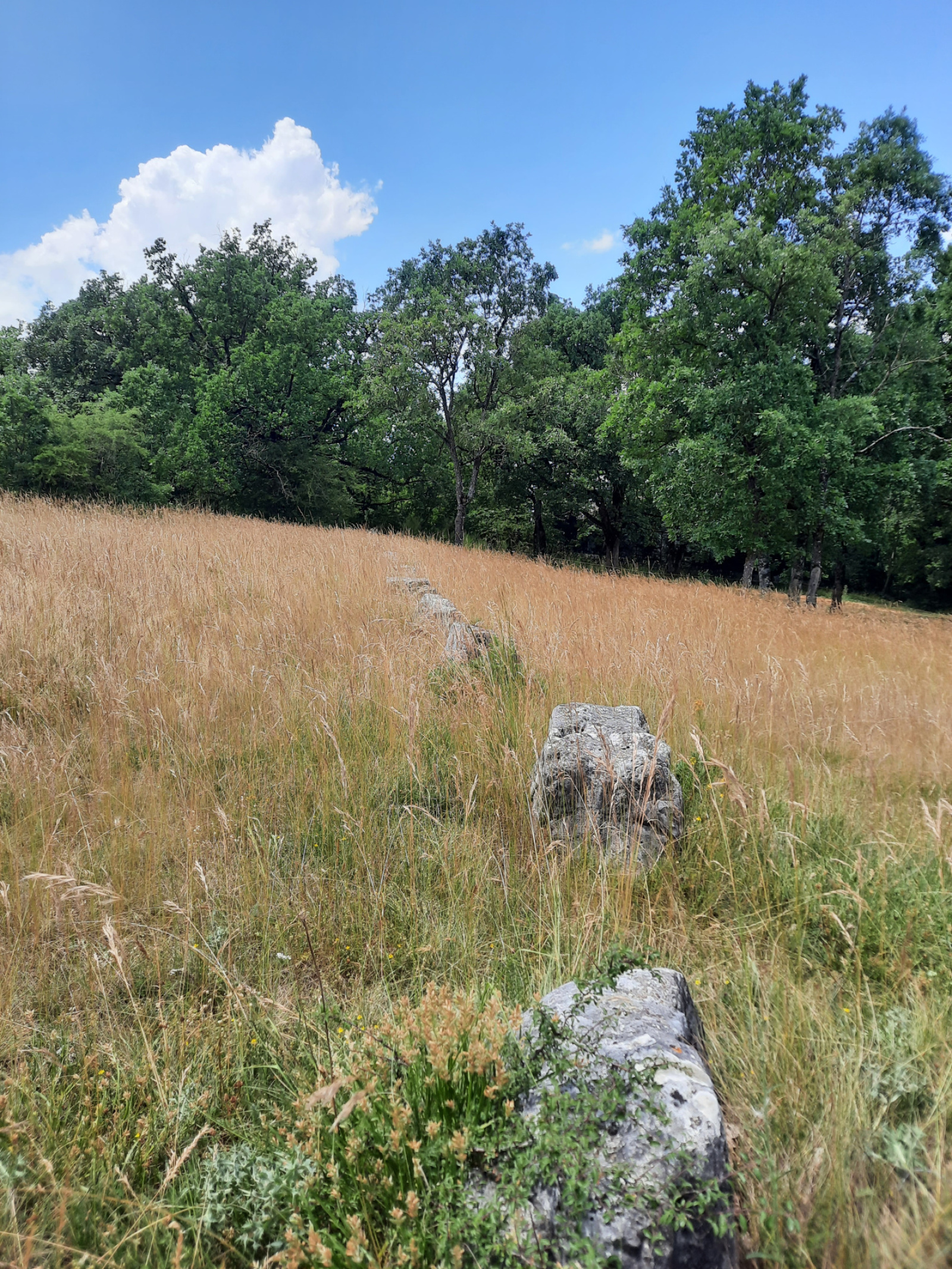 Image_, Terrain, La Cavalerie, ref :LC 3216