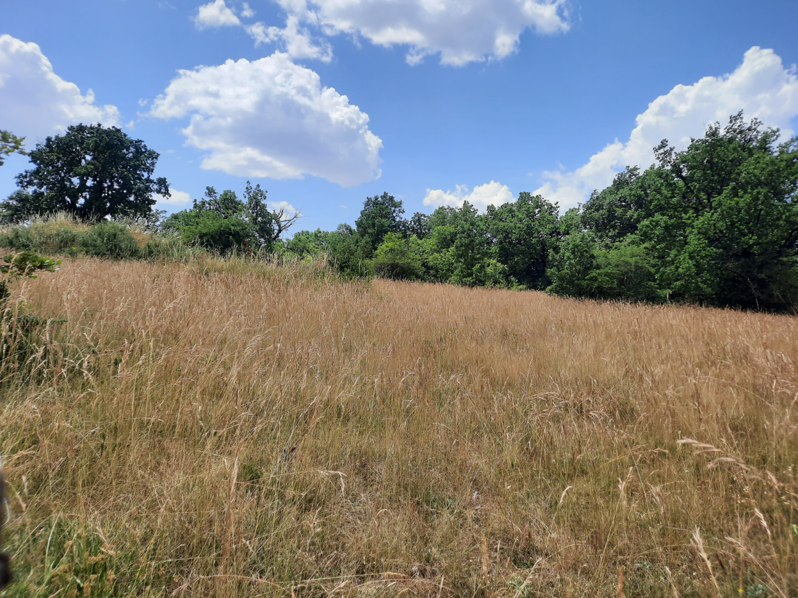 Image_, Terrain, La Cavalerie, ref :LC 3216