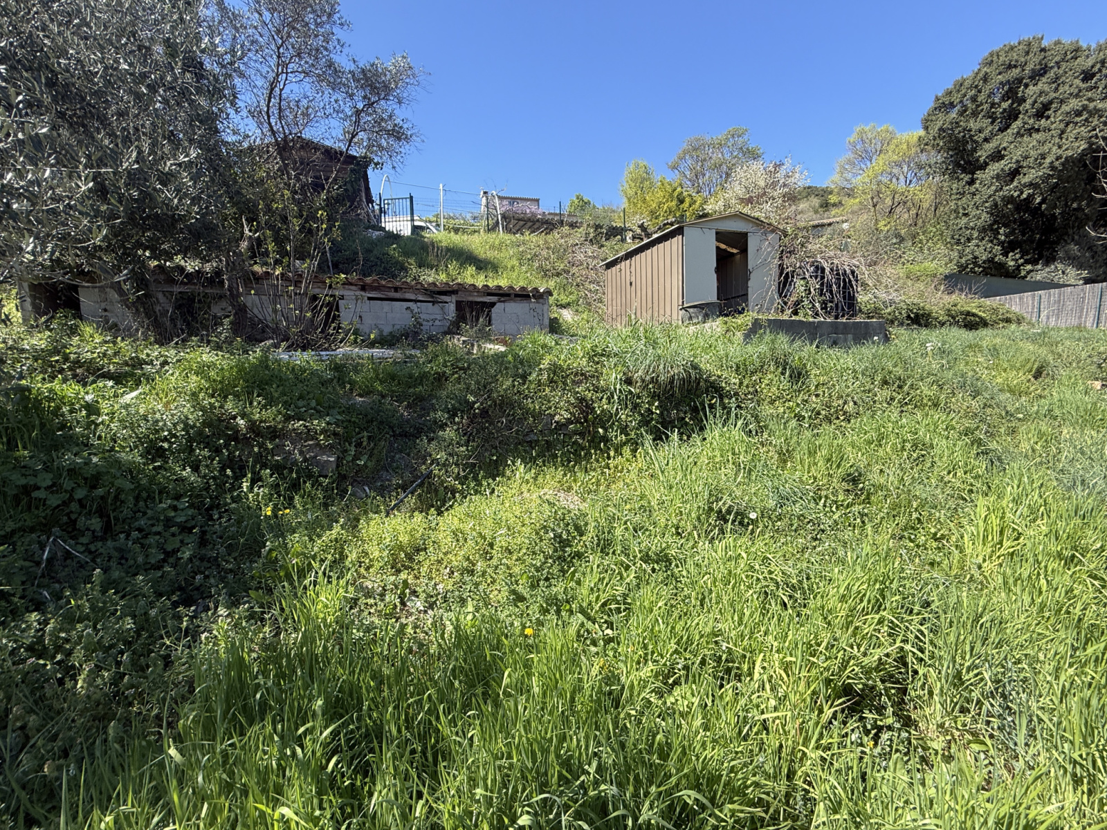 Image_, Terrain à batir, Aulas, ref :924