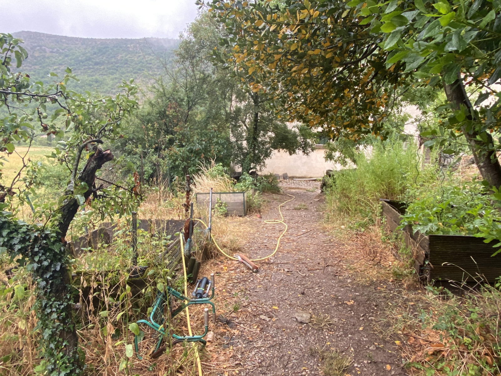 Image_, Maison, Vissec, ref :2639