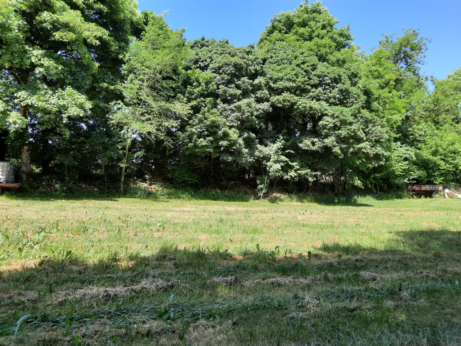 Image_, Terrain, Viala-du-Pas-de-Jaux, ref :LC 0058