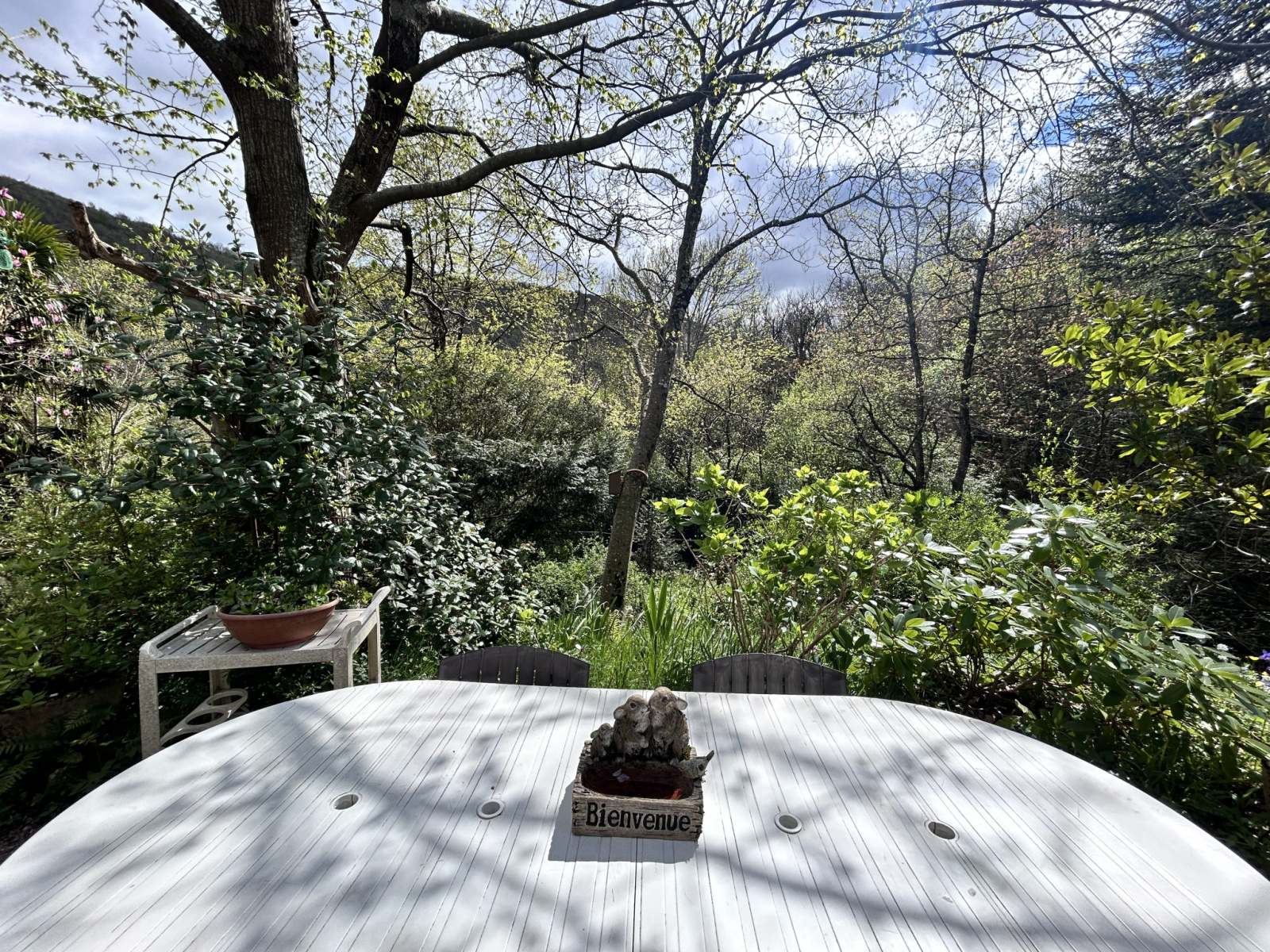 Image_, Maison, Aumessas, ref :2748