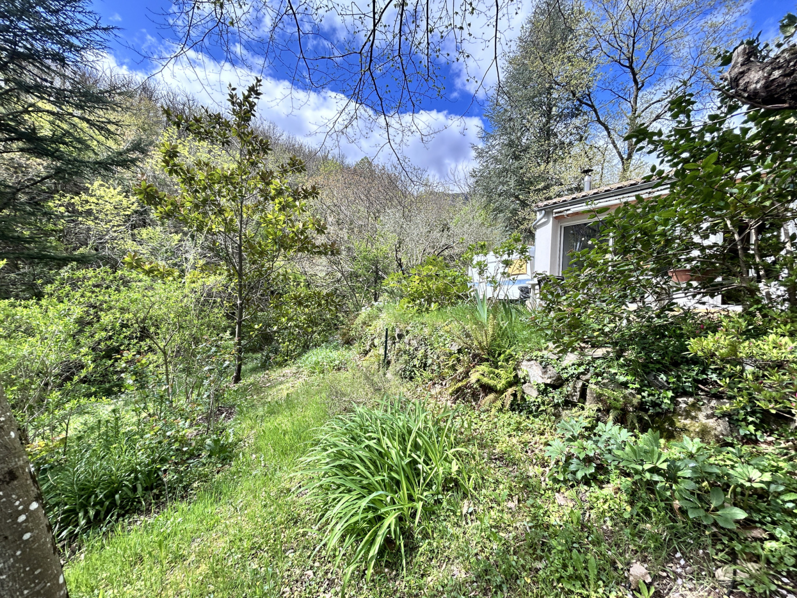 Image_, Maison, Aumessas, ref :2748