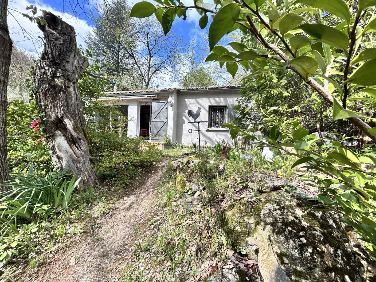 Image_, Maison, Aumessas, ref :2748