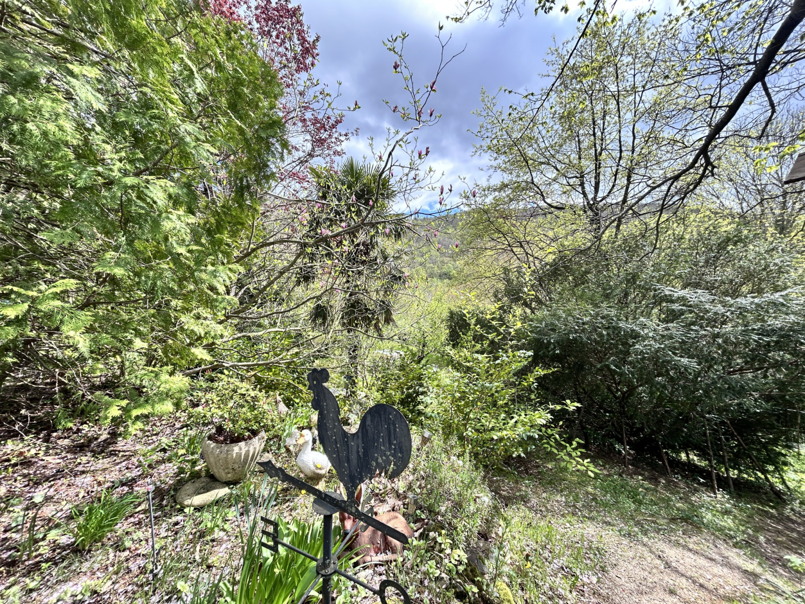 Image_, Maison, Aumessas, ref :2748