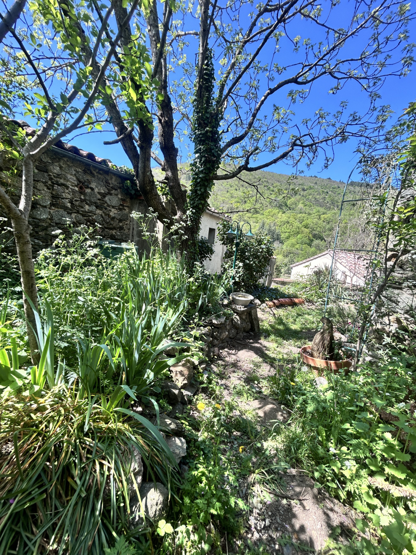 Image_, Maison de village, Bréau-et-Salagosse, ref :2789