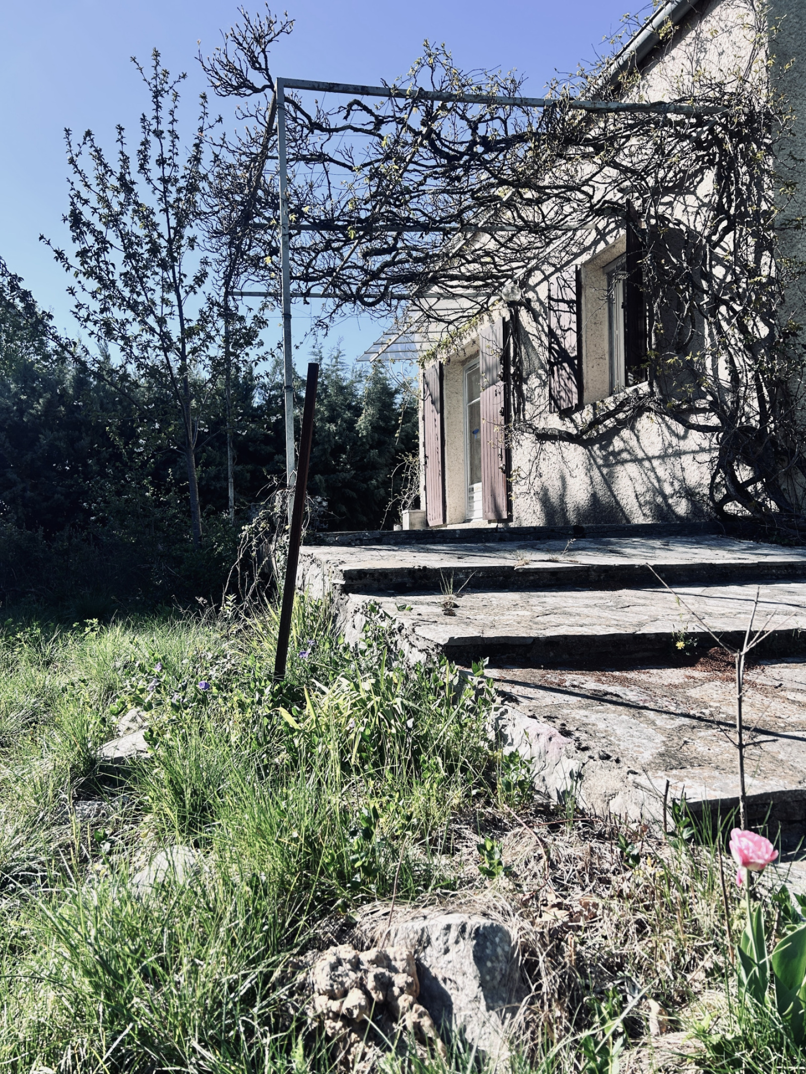 Image_, Maison, Rogues, ref :2784