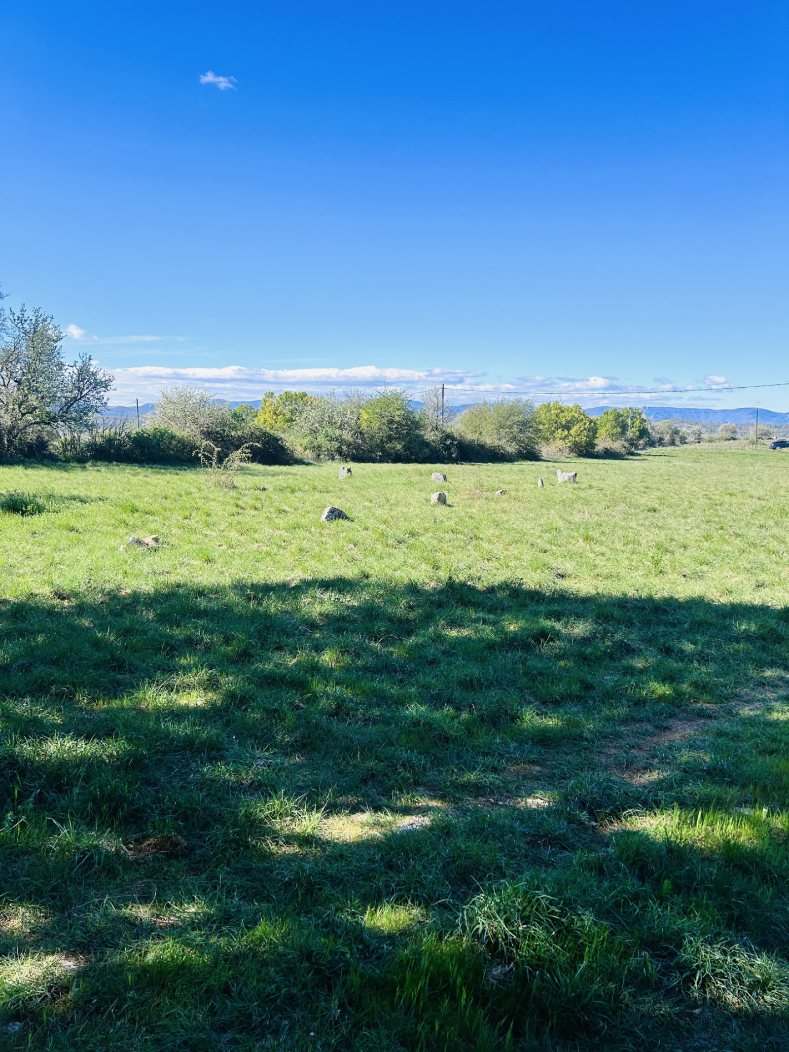 Image_, Maison, Rogues, ref :2784