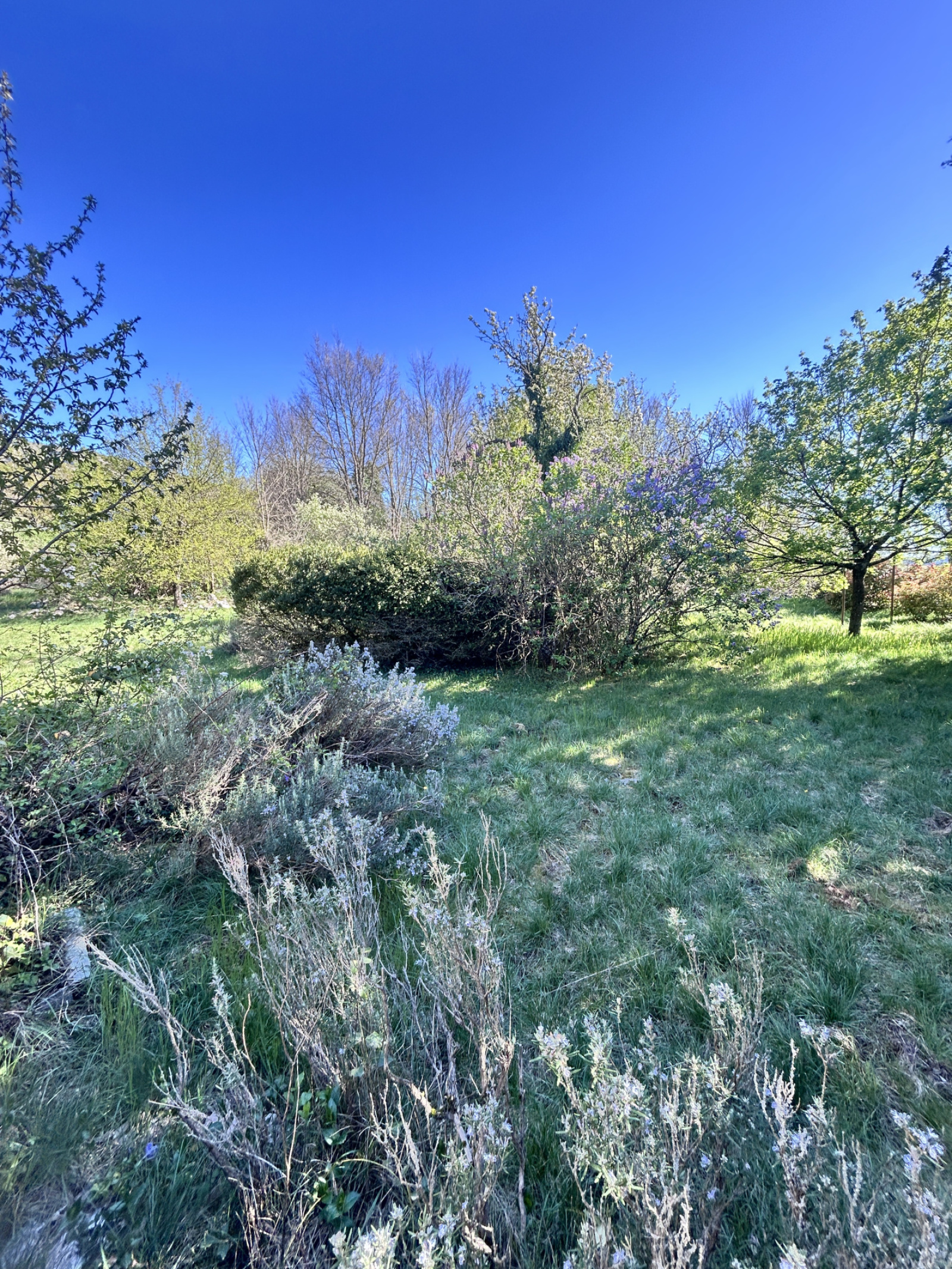 Image_, Maison, Rogues, ref :2784