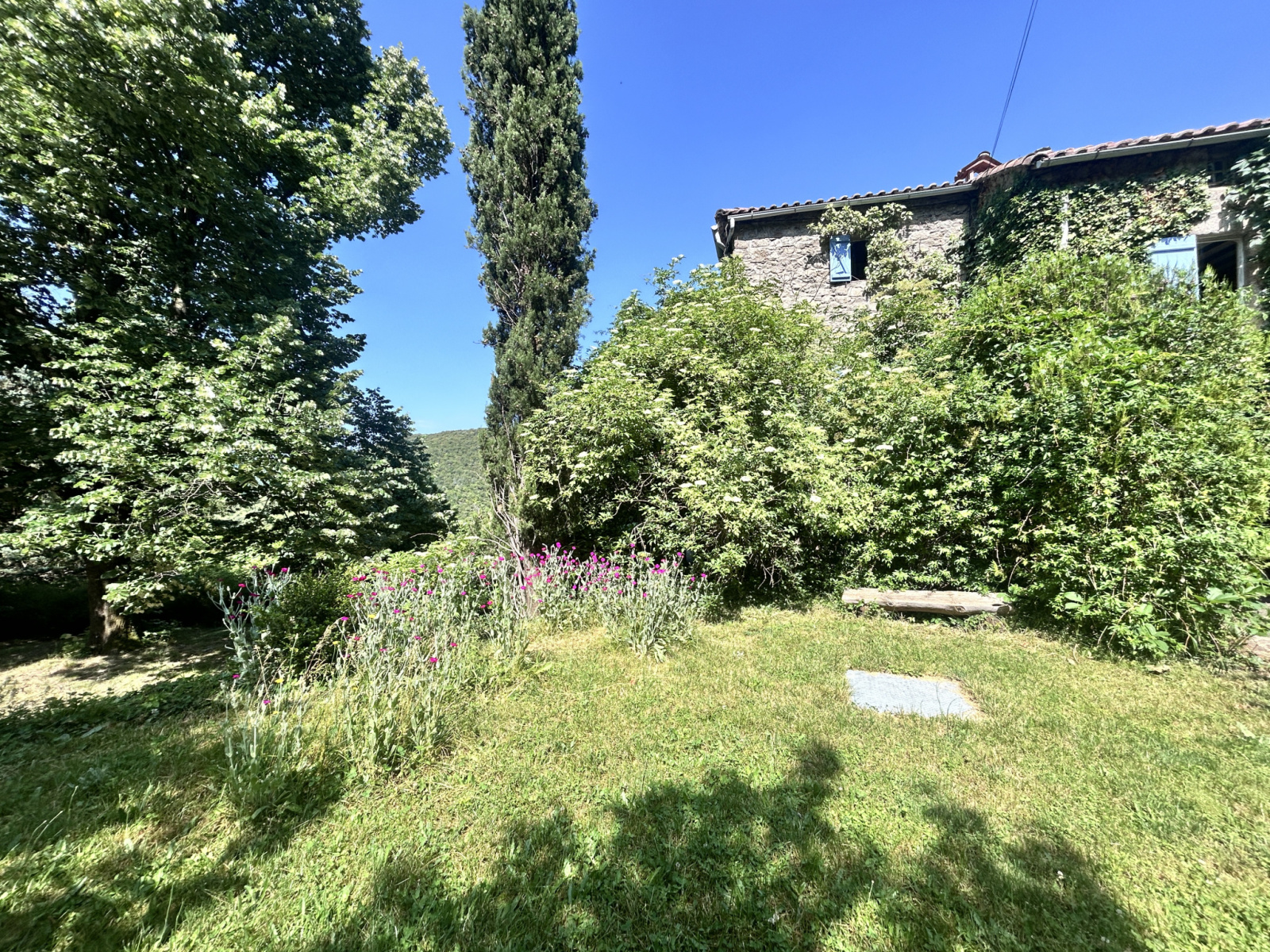 Image_, Mas, Saint-André-de-Majencoules, ref :2756