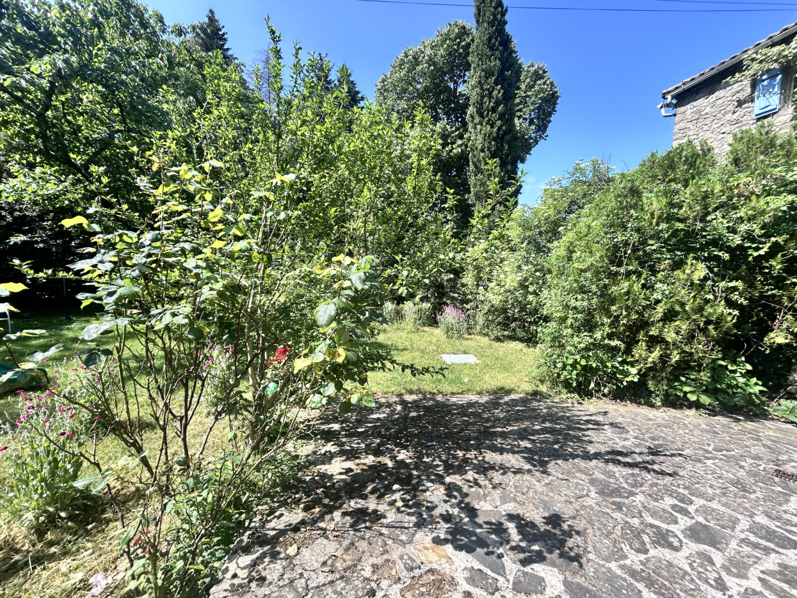 Image_, Mas, Saint-André-de-Majencoules, ref :2756