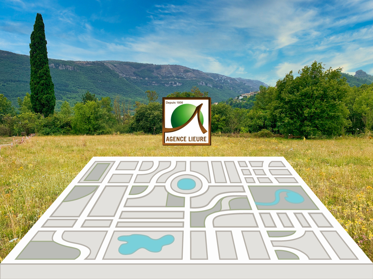 La division parcellaire